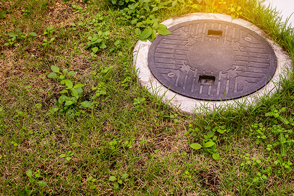 Septic tank cover grassy area